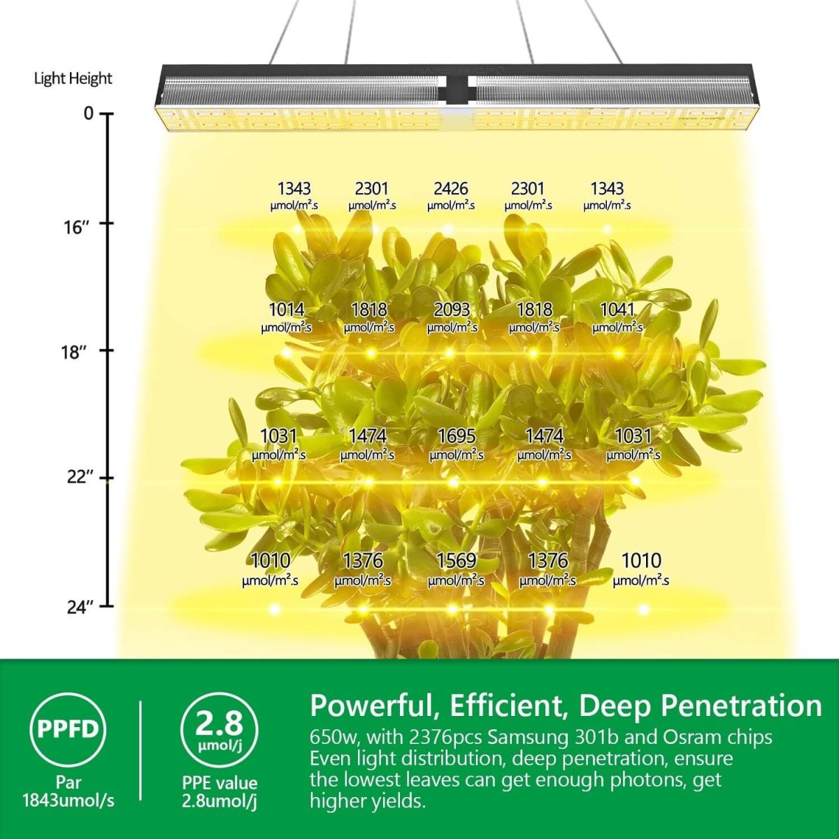 Mars Hydro Vekstlys 650W | Plantelys for Dyrketelt og Dyrkerom - Nordstrøm Botaniske
