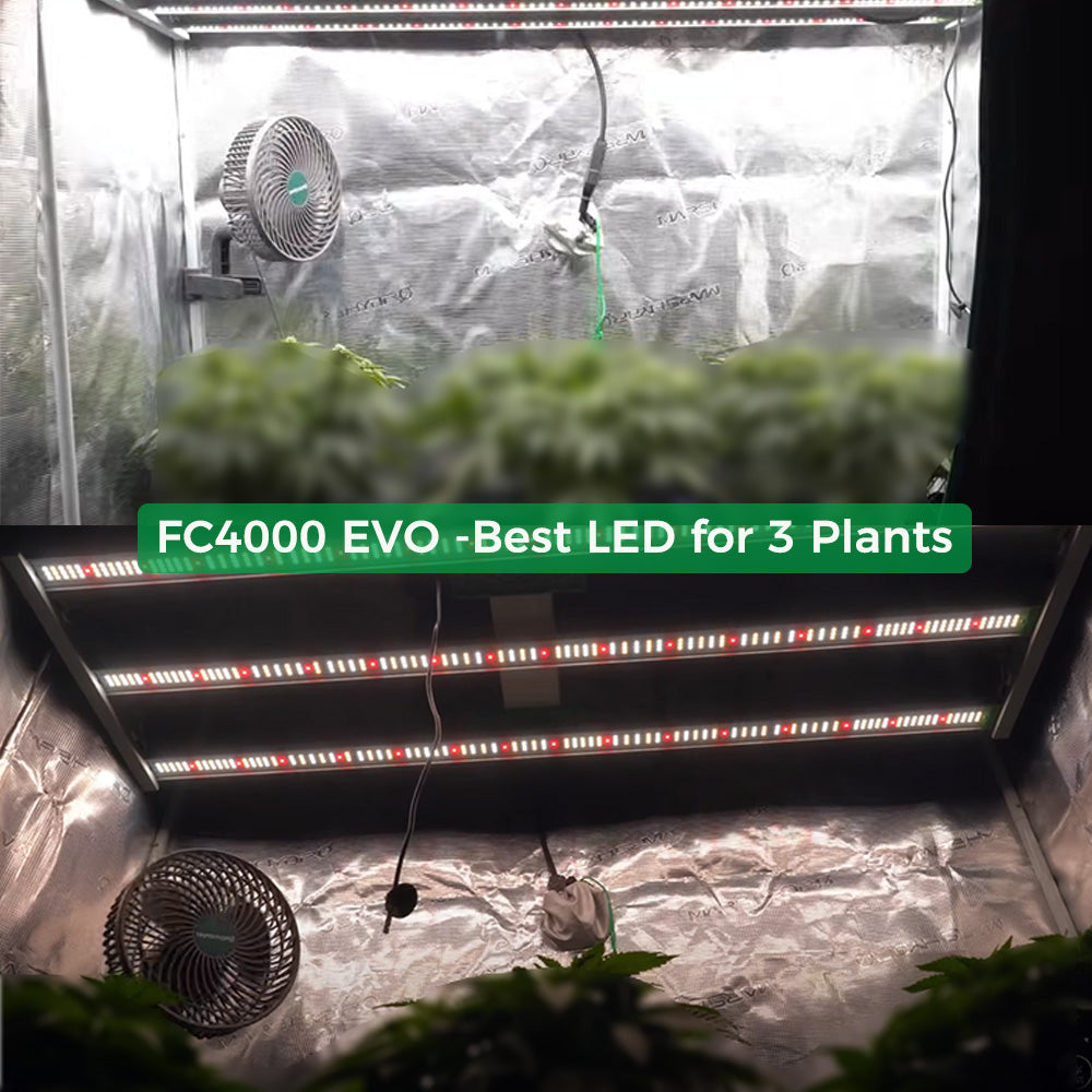Samsung Mars Hydro Vekstlys 320W EVO | Plantelys for Dyrketelt og Dyrkerom - Nordstrøm Botaniske