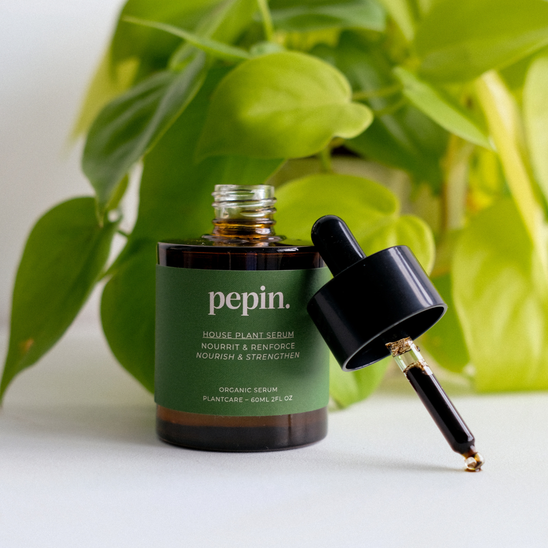 Houseplant Serum - Nordstrøm Botaniske