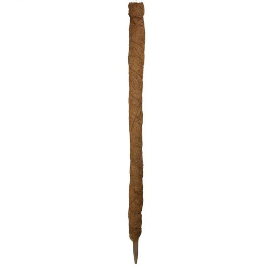 Plantestøtte Kokos | H60 cm - Nordstrøm Botaniske