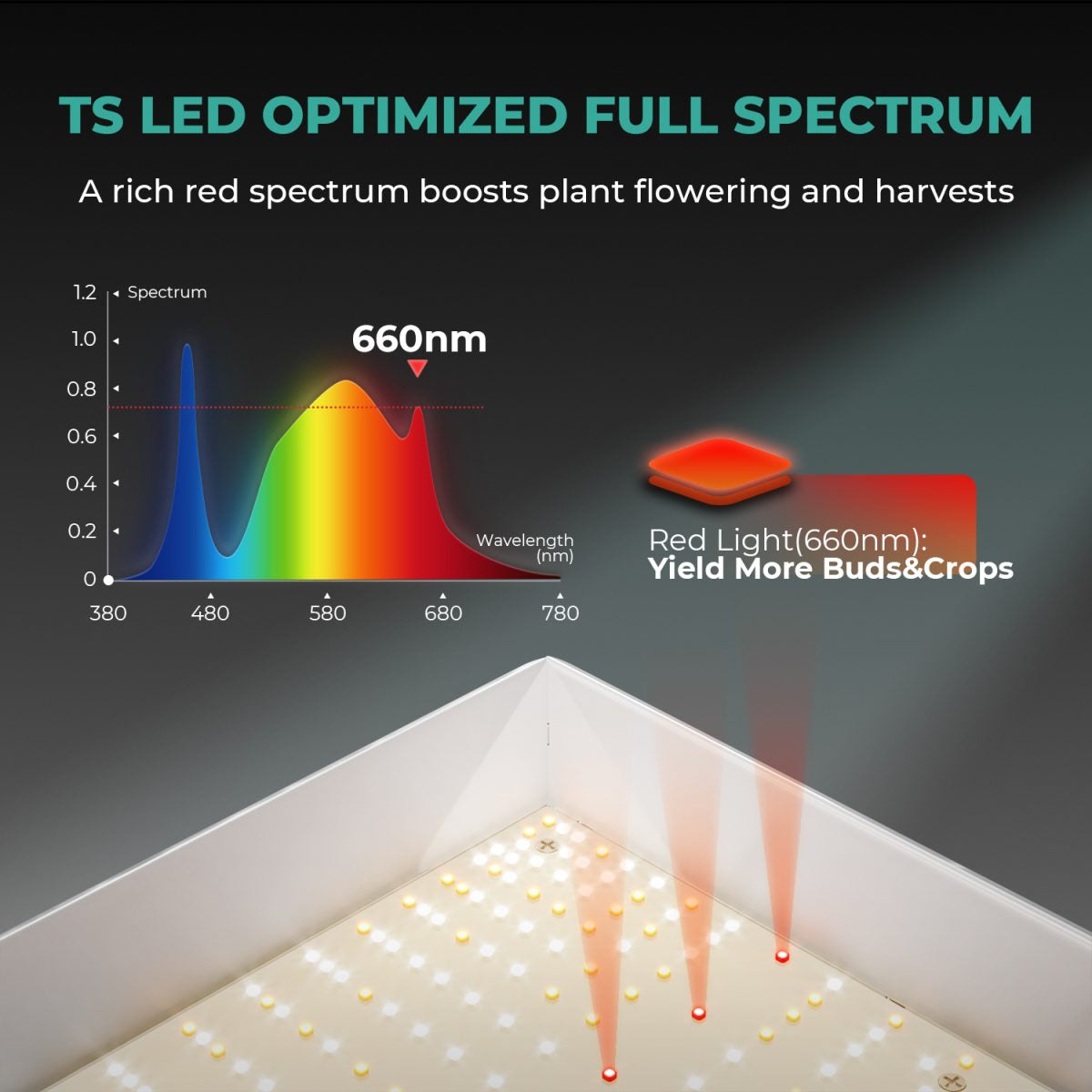 Mars Hydro Dyrkesett | 80x80cm Dyrketelt | TS1000 150W Plantelys | Vifte - Nordstrøm Botaniske