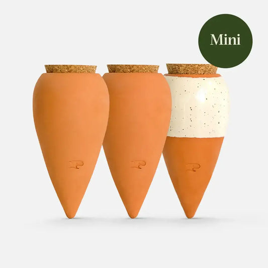 Box Trio Mini Ollas - the Iconics - Nordstrøm Botaniske