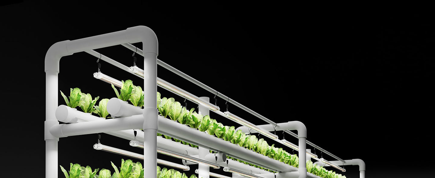 Plantelys 80W | Hagebelysning | Spider Farmer® SFGlow80