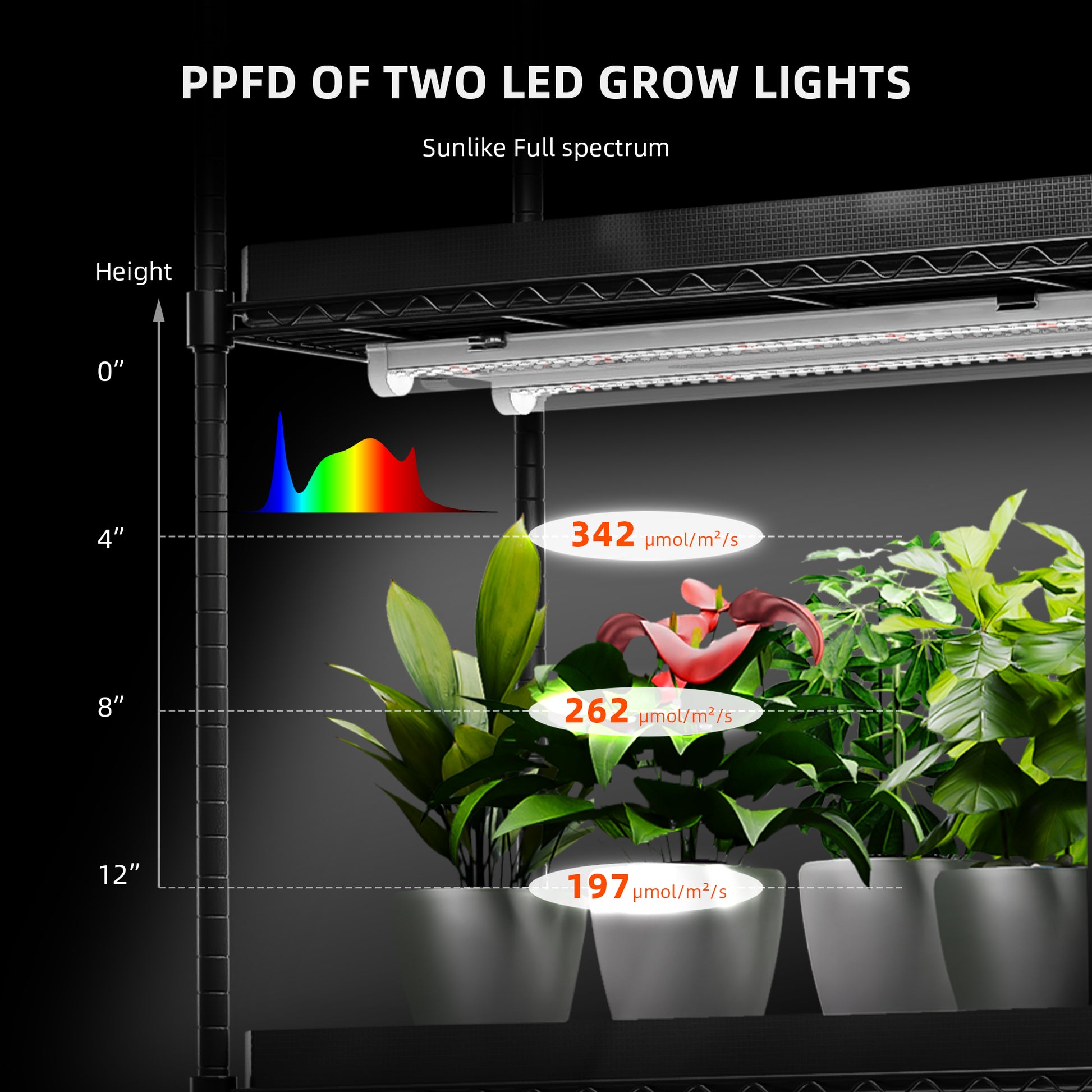 Vekstlysbar 200W LED | Kan Dimmes | 8 stk | Spider Farmer - Nordstrøm Botaniske