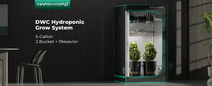 DWC Vanningssystem | 2 bøtter 19 L | Dyrk i Vann - Nordstrøm Botaniske