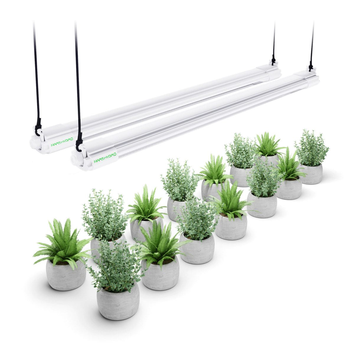 Plantelys 40W | 60 CM Vekstlys til Frø og Stiklinger - Nordstrøm Botaniske
