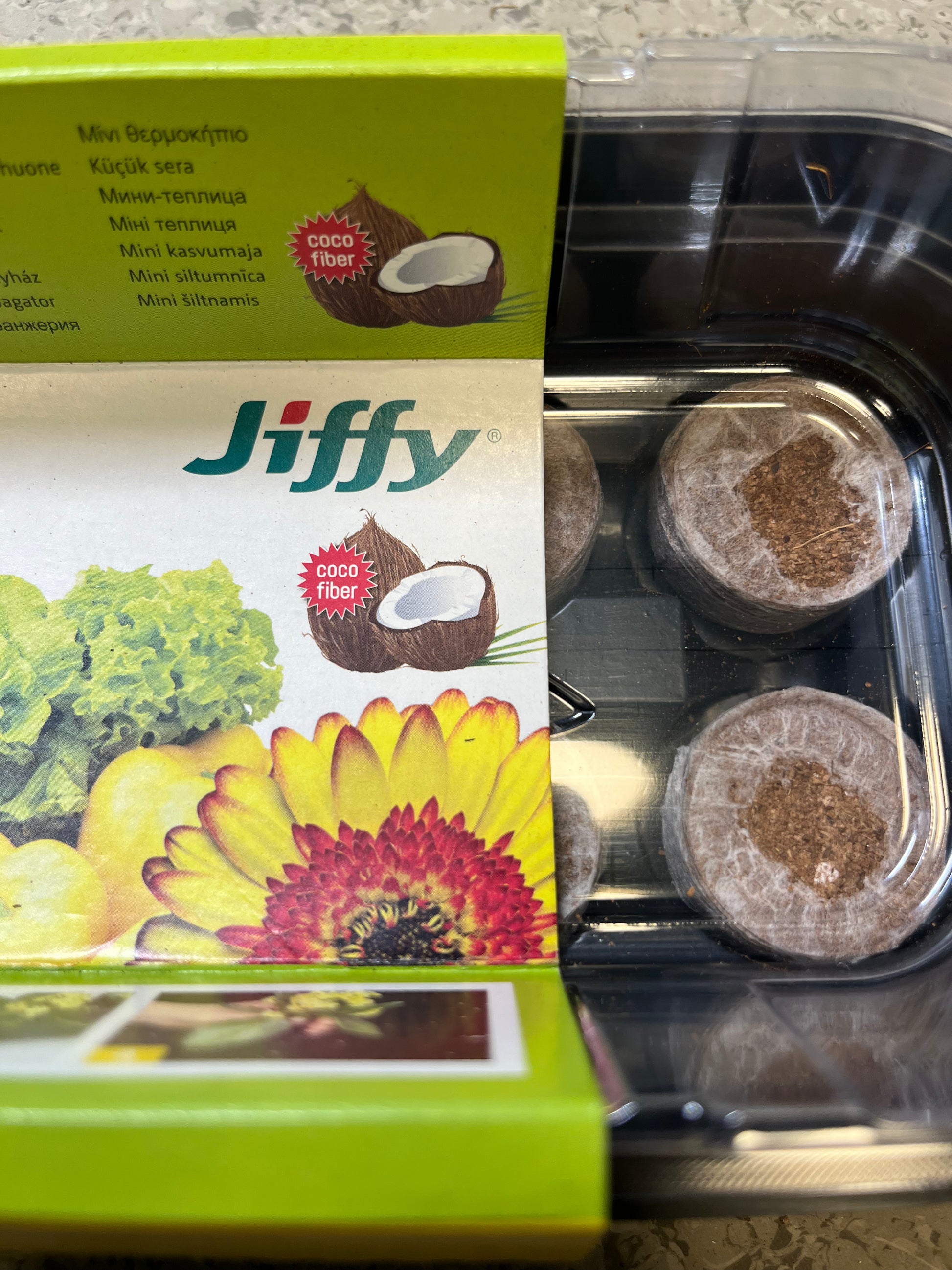 Jiffy Minidrivhus | Kokos Briketter | GH-12 - Nordstrøm Botaniske