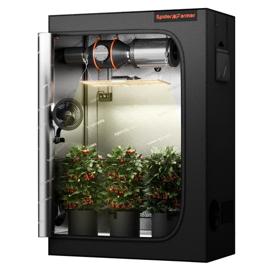 Dyrkesett Komplett | Samsung EVO 200W | 120x60 Telt | Spider Farmer® - Nordstrøm Botaniske