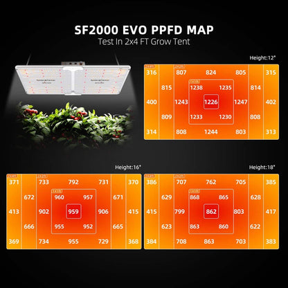 Dyrkesett Komplett | Samsung EVO 200W | 120x60 Telt | Spider Farmer® - Nordstrøm Botaniske