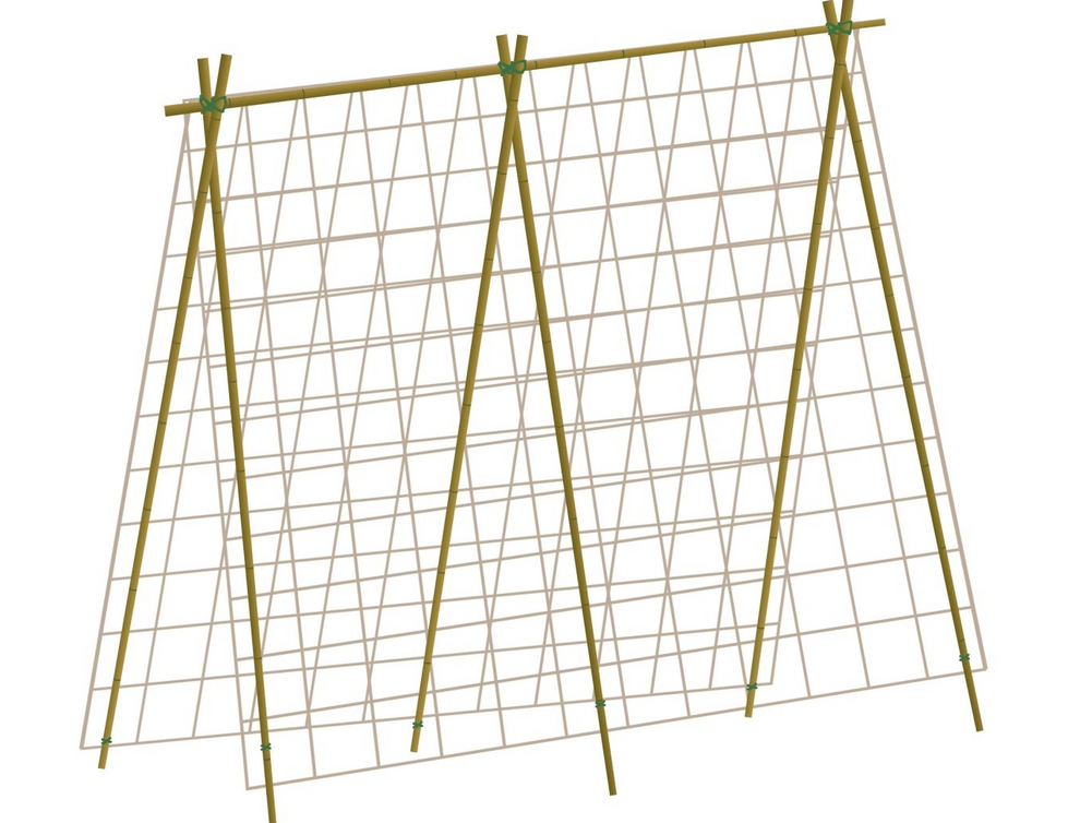 Plantestøtte til Erter & Bønner | 1,8m x 1,8m - Nordstrøm Botaniske