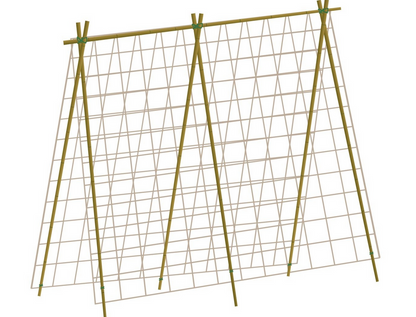 Plantestøtte til Erter & Bønner | 1,8m x 1,8m - Nordstrøm Botaniske
