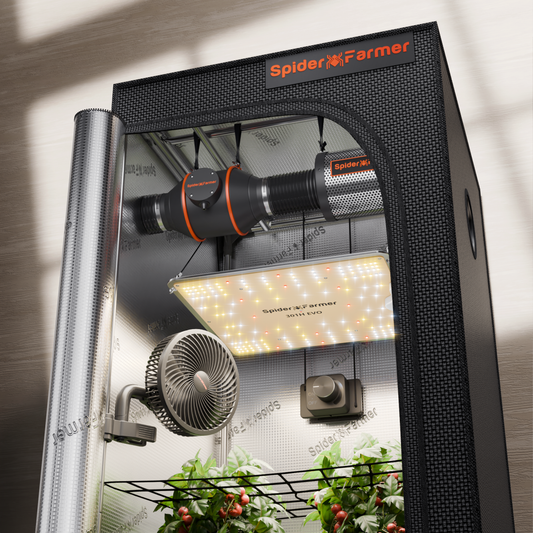 Dyrkesett Komplett | Samsung EVO 100W | 70x70 Telt | Spider Farmer® - Nordstrøm Botaniske