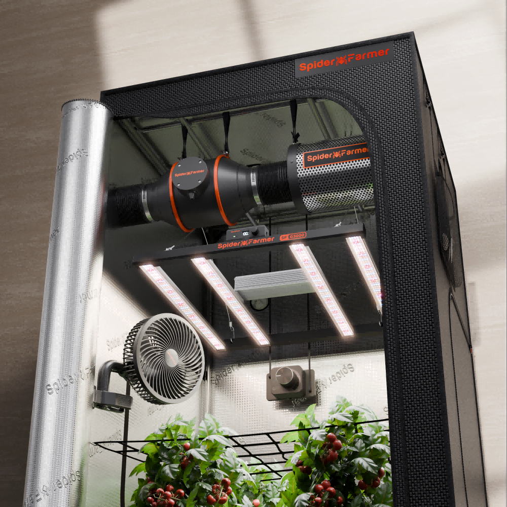 Dyrkesett Komplett | 300W LED | 90x90x180 Telt | 100mm Vifte | Spider Farmer®