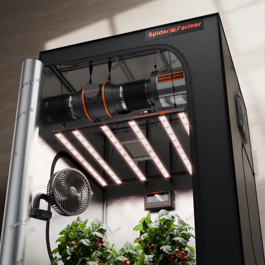 Dyrkesett Komplett | 480W LED G5000 | 120x120 Telt | Spider Farmer®