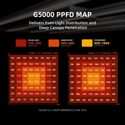 Dyrkesett Komplett | 480W LED G5000 | 120x120 Telt | Spider Farmer®