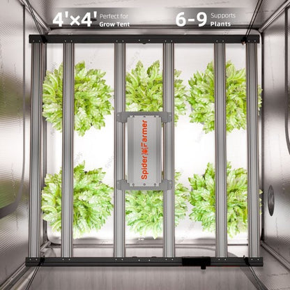 Dyrkesett Komplett | 480W LED G5000 | 120x120 Telt | Spider Farmer®