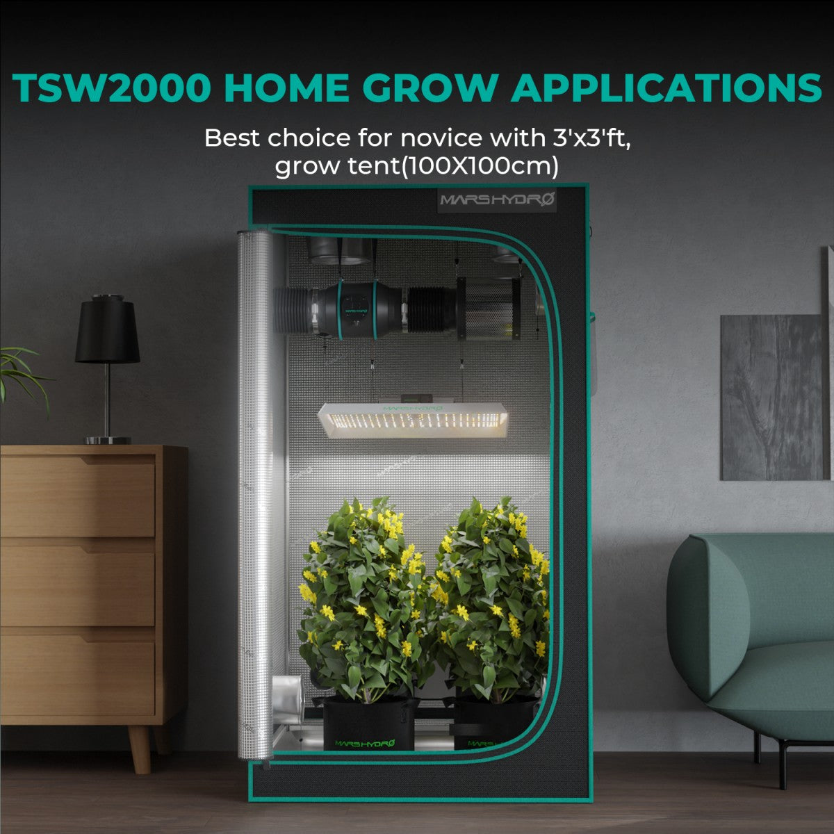 Mars Hydro Vekstlys 300W for plant growth, shown in a grow tent with lush green plants under the LED grow light.