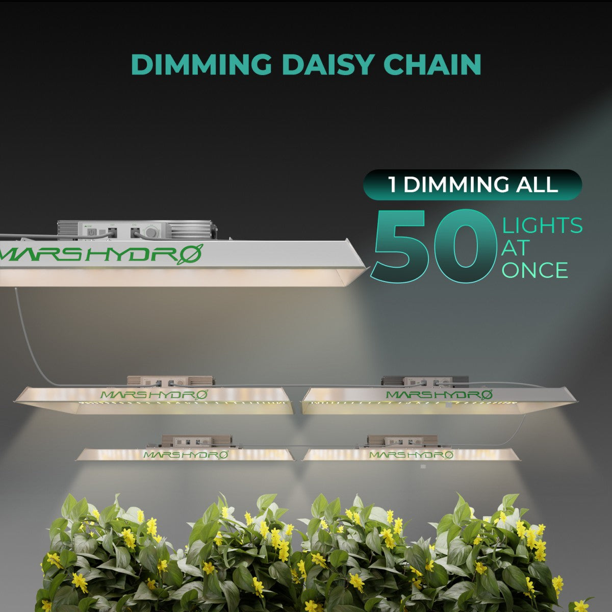 Mars Hydro Vekstlys 450W for plant grow tents and grow rooms, featuring full-spectrum LED lighting for healthy plant growth.