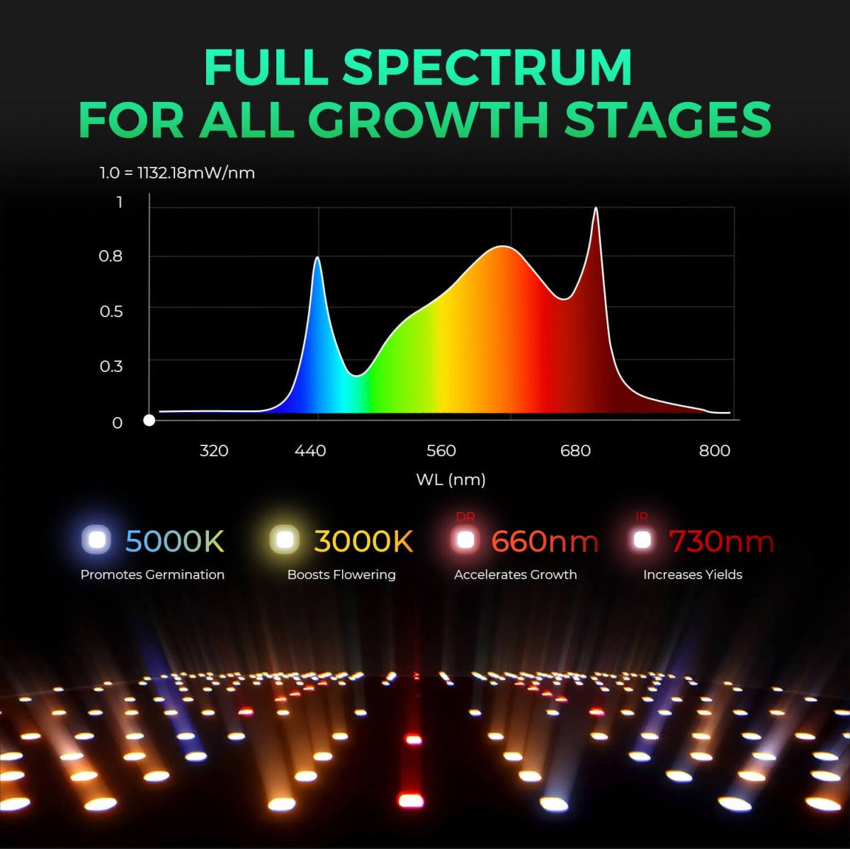 Mars Hydro Vekstlys 300W for plant growth in grow tents and grow rooms, featuring full-spectrum LED lighting for healthy plants.
