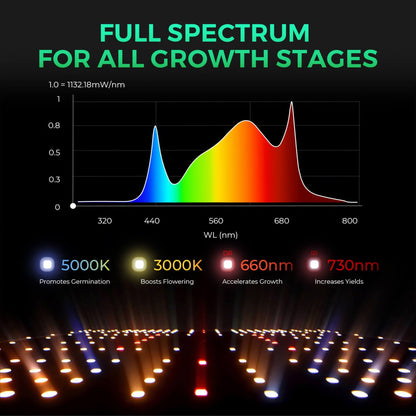 Mars Hydro Vekstlys 300W for plant growth in grow tents and grow rooms, featuring full-spectrum LED lighting for healthy plants.
