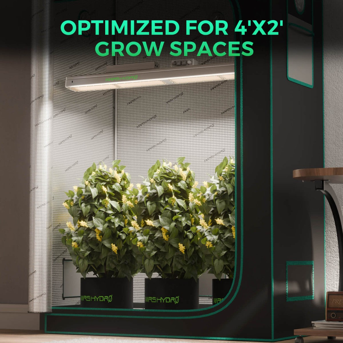 Mars Hydro Vekstlys 300W plant grow light for grow tents and grow rooms, featuring full spectrum LED lighting.