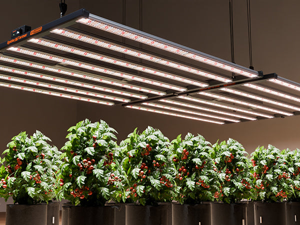 Spider Farmer Plantelys 1000W LED grow light with WiFi and Bluetooth control, featuring a spider-like design for optimal plant growth.
