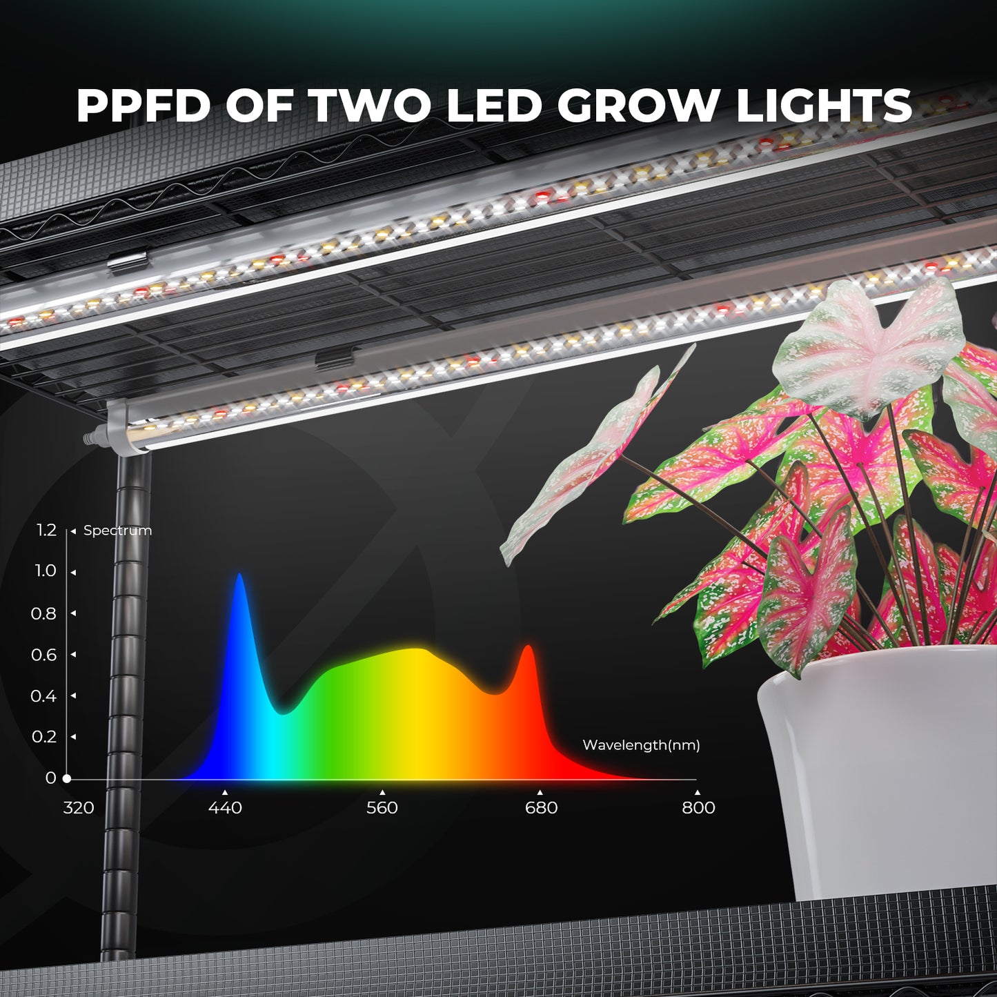 Mars Hydro plant shelf with four tiers, 150W LED grow lights, and iTime-timer for indoor gardening and plant cultivation.