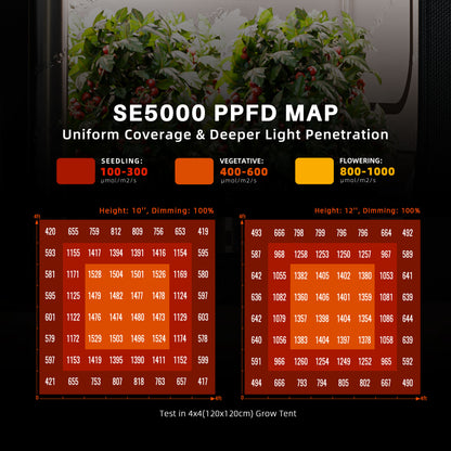 Samsung Plantelys 480W EVO | Vekstlys Spider Farmer® SE-5000 - Nordstrøm Botaniske