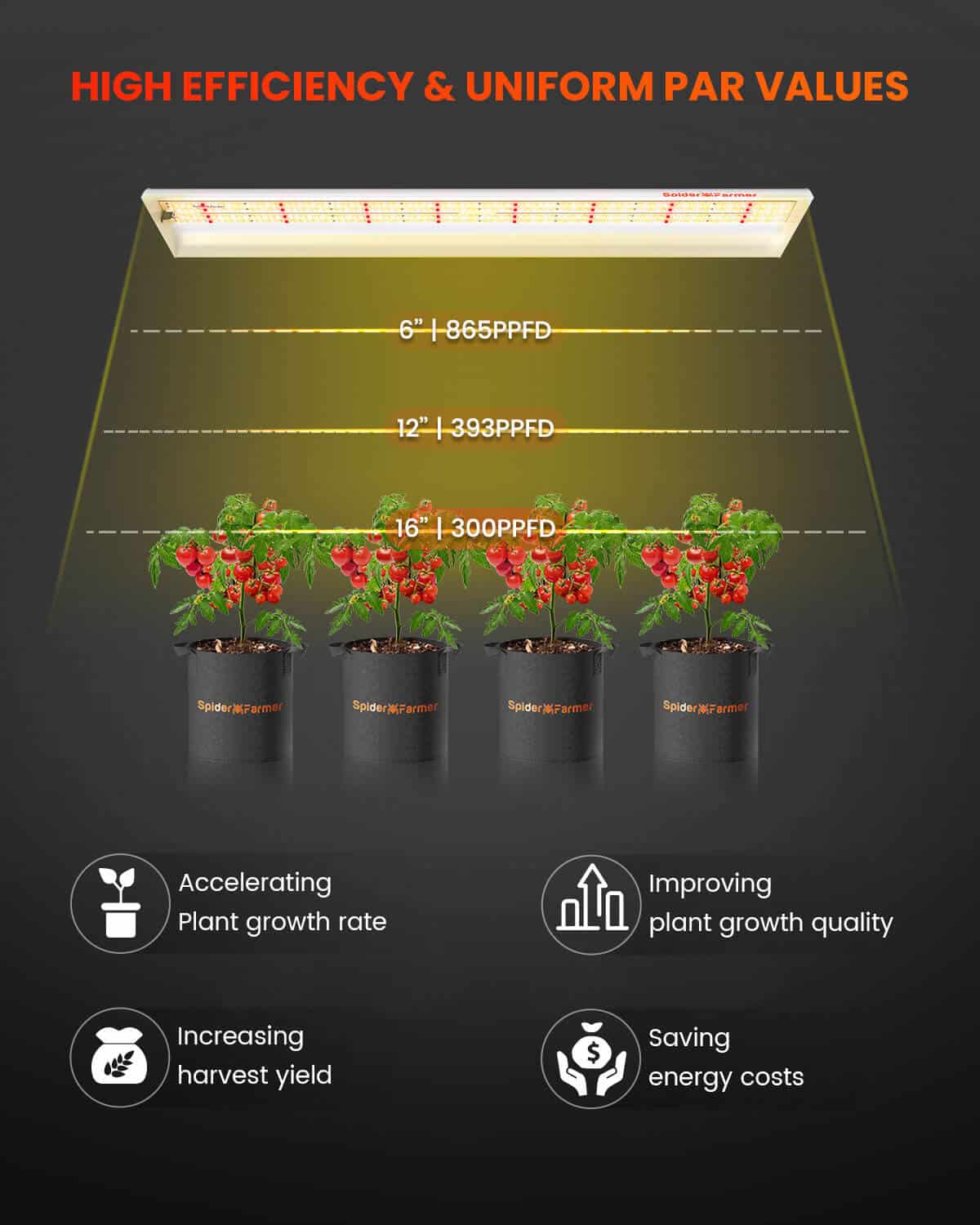 Plantelys 74W | Hagebelysning | 2024 Spider Farmer® SF600 - Nordstrøm Botaniske