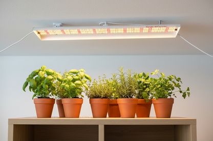 Plantelys 74W | Hagebelysning | Spider Farmer® SF600