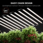 Plantelys 80W | Hagebelysning | Spider Farmer® SFGlow80