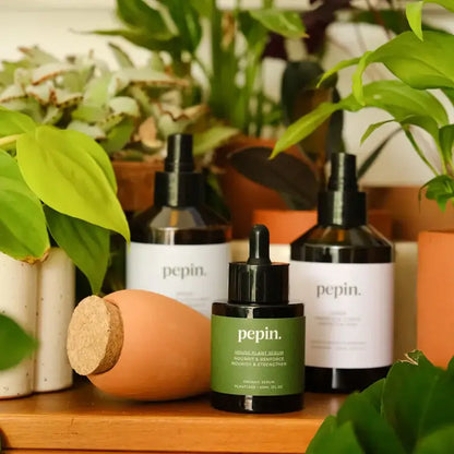 Plantcare routine - Nordstrøm Botaniske
