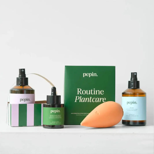 Plantcare routine - Nordstrøm Botaniske