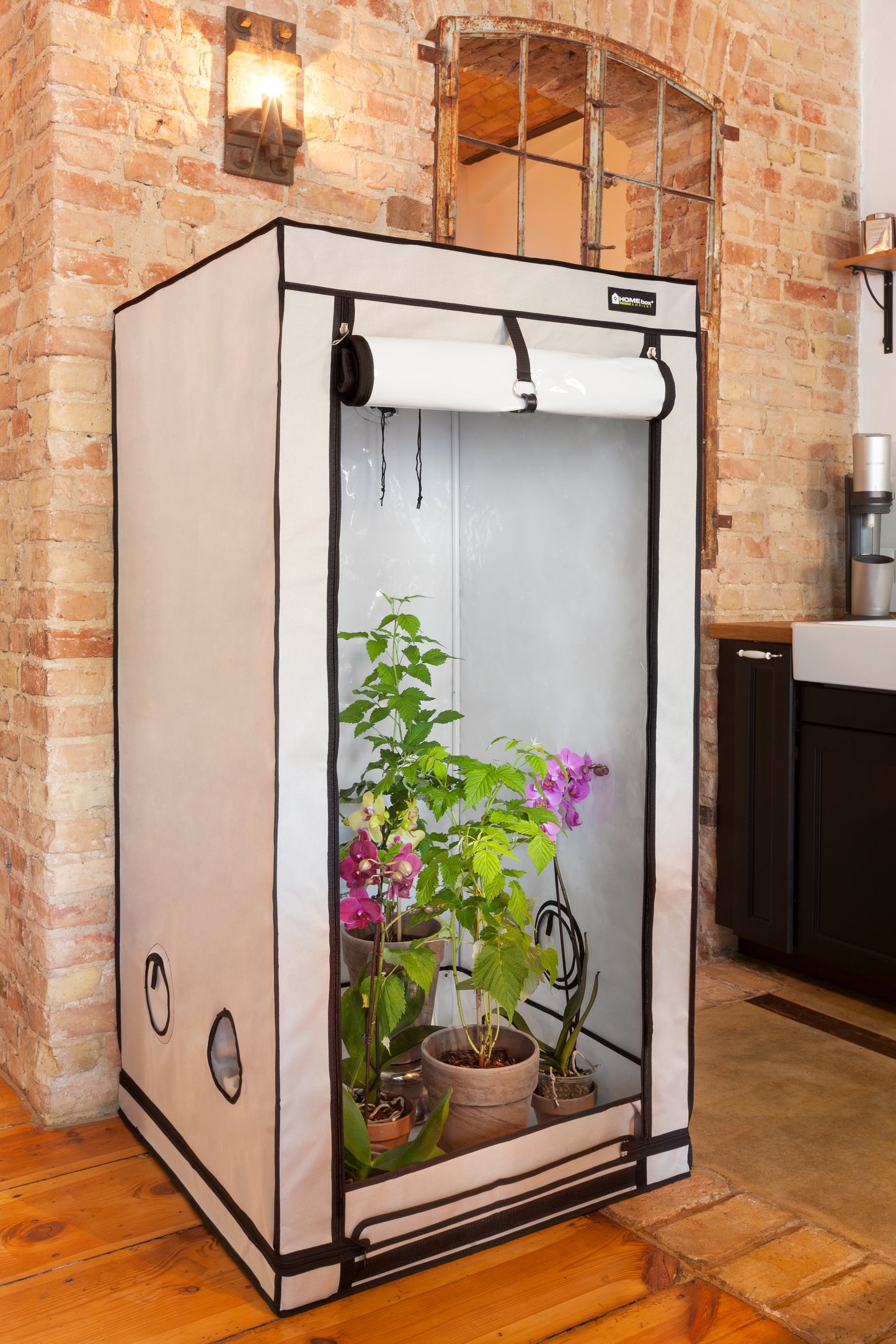 HOMEbox® Dyrketelt Q80+ | Robust Plantetelt med PAR+ - Nordstrøm Botaniske