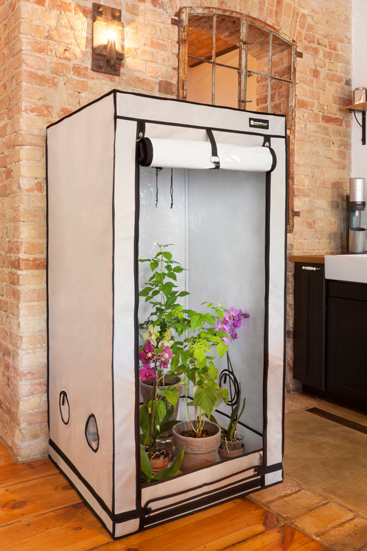 HOMEbox® Dyrketelt Q80+ | Robust Plantetelt med PAR+ - Nordstrøm Botaniske