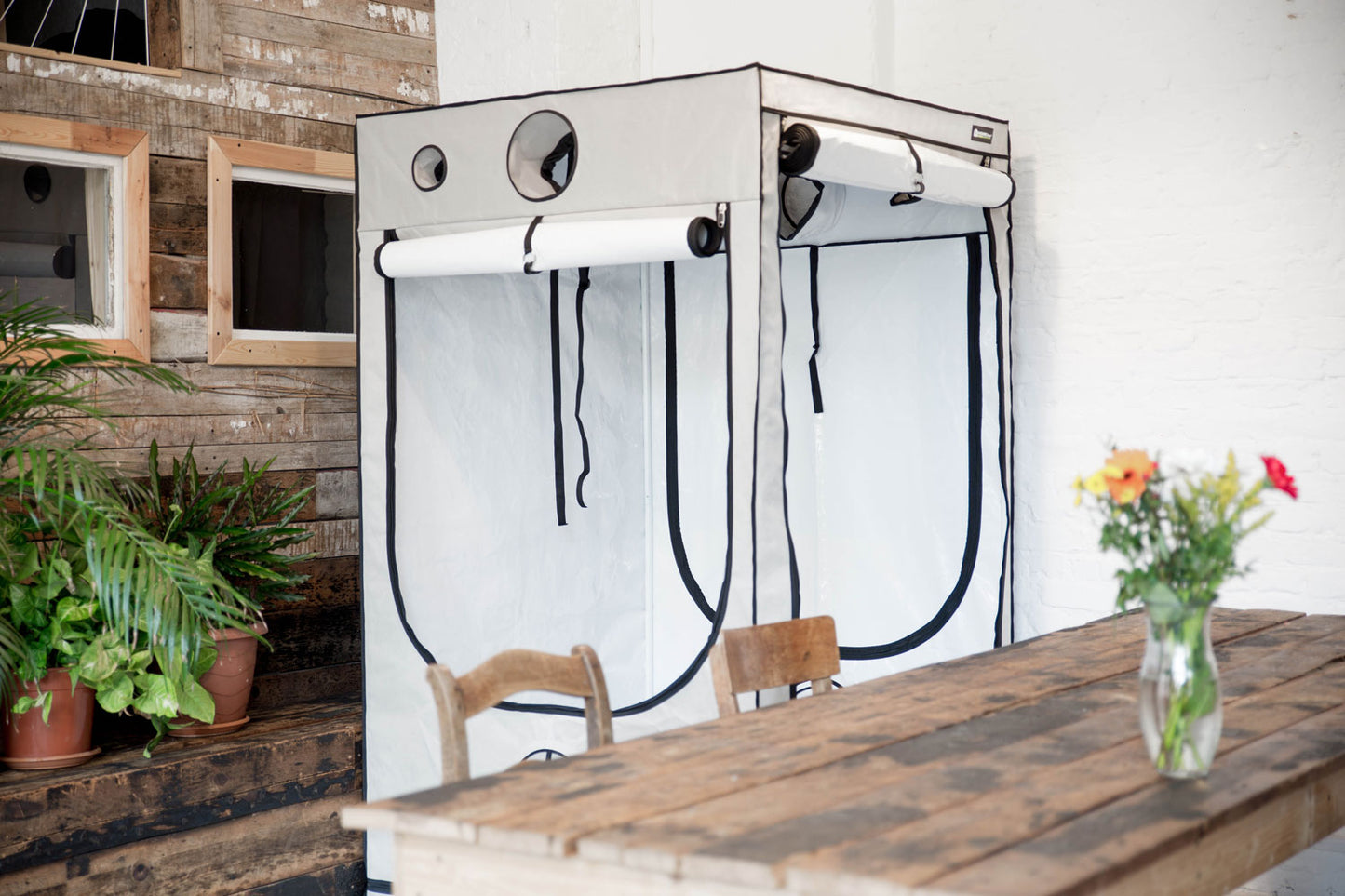 HOMEbox® Dyrketelt Q80+ | Robust Plantetelt med PAR+ - Nordstrøm Botaniske