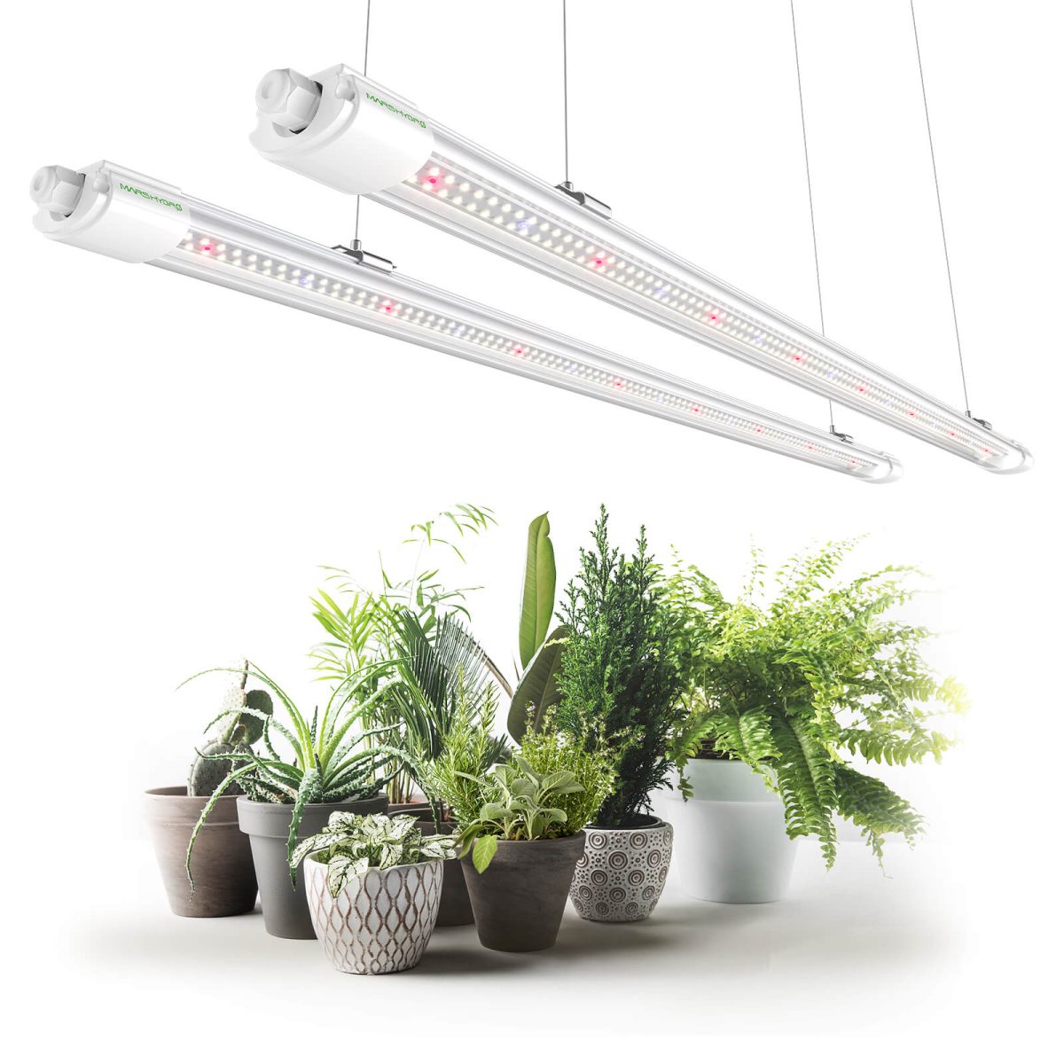 Plantelys 80W | 115 CM Vekstlys til Frø og Stiklinger - Nordstrøm Botaniske