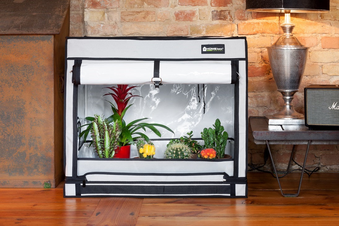 HOMEbox® Dyrketelt R80S | Plantetelt for Små Planter - Nordstrøm Botaniske