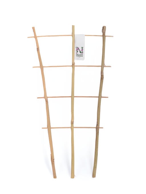 Nelson Garden Espalier Bambus | til Potter | 45 cm - Nordstrøm Botaniske